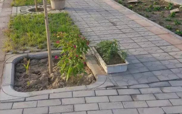 չʾ