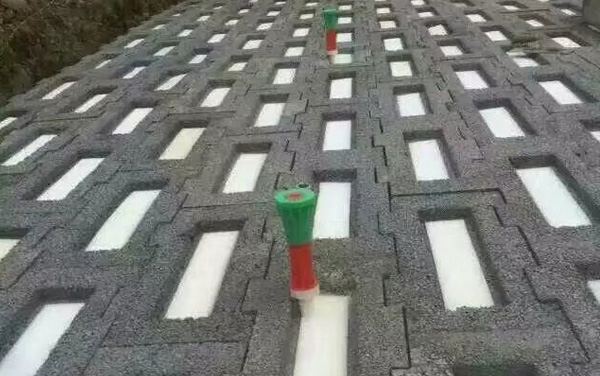 Ʒuչʾ